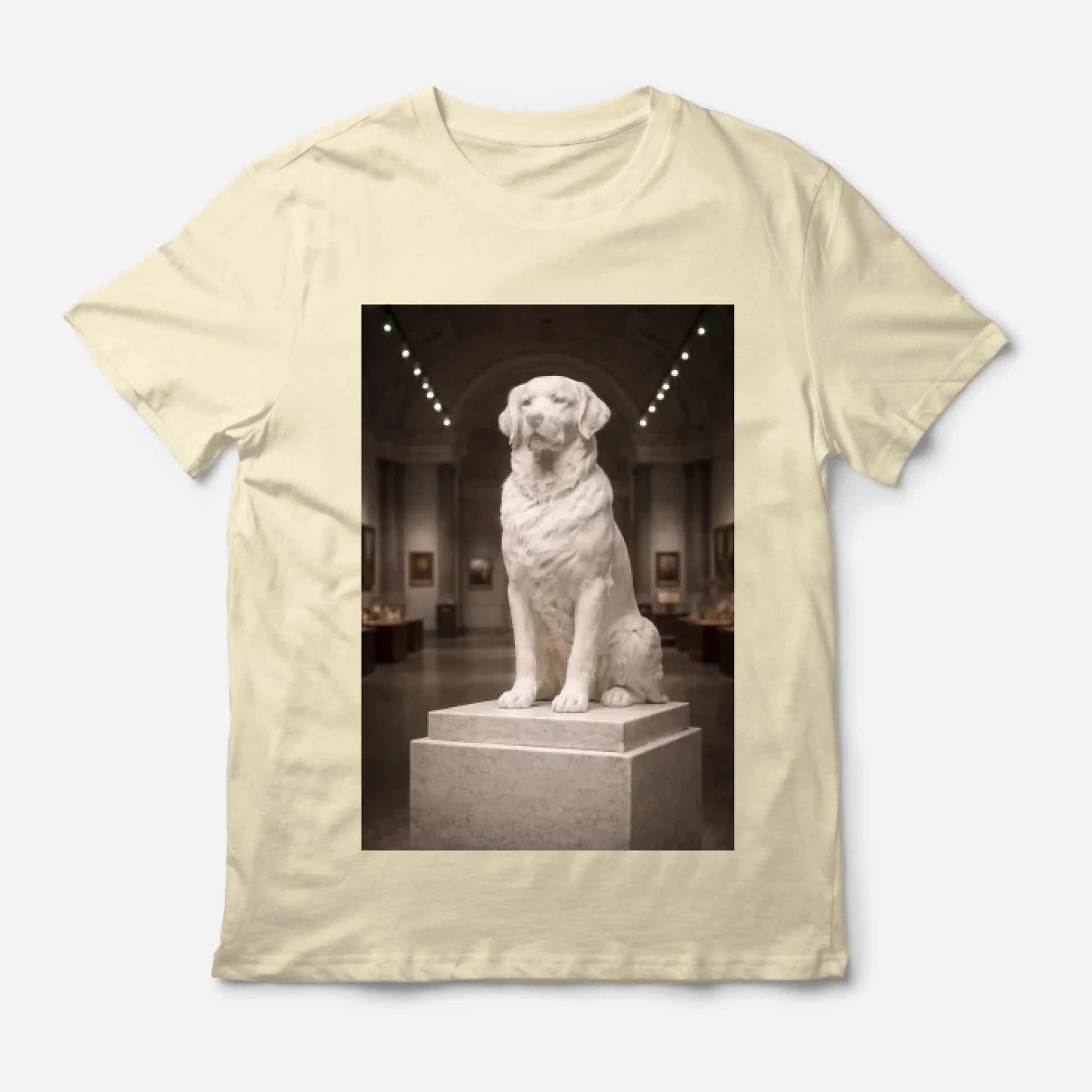 artboard-1-6972bf38fba4b1174087a1ba-@2x