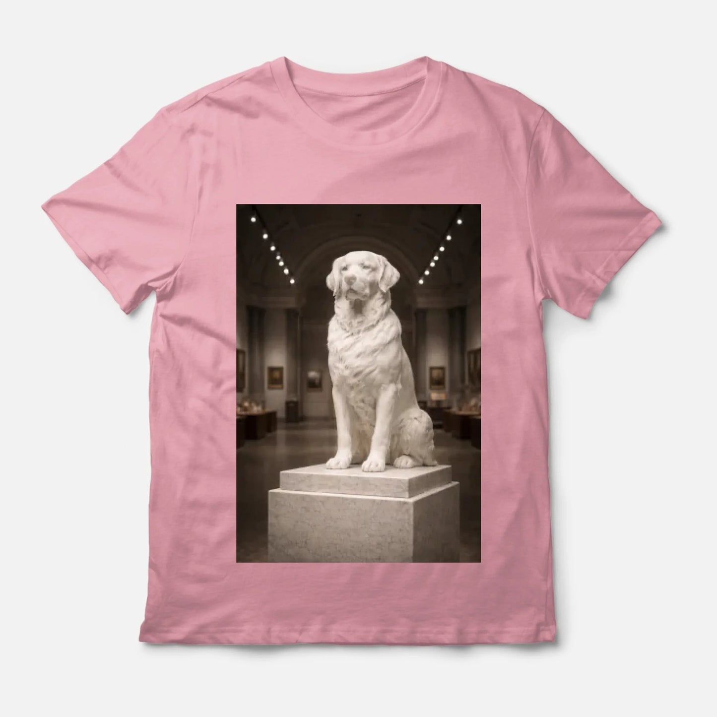 artboard-1-6972bf18fba4b1174087a183-@2x