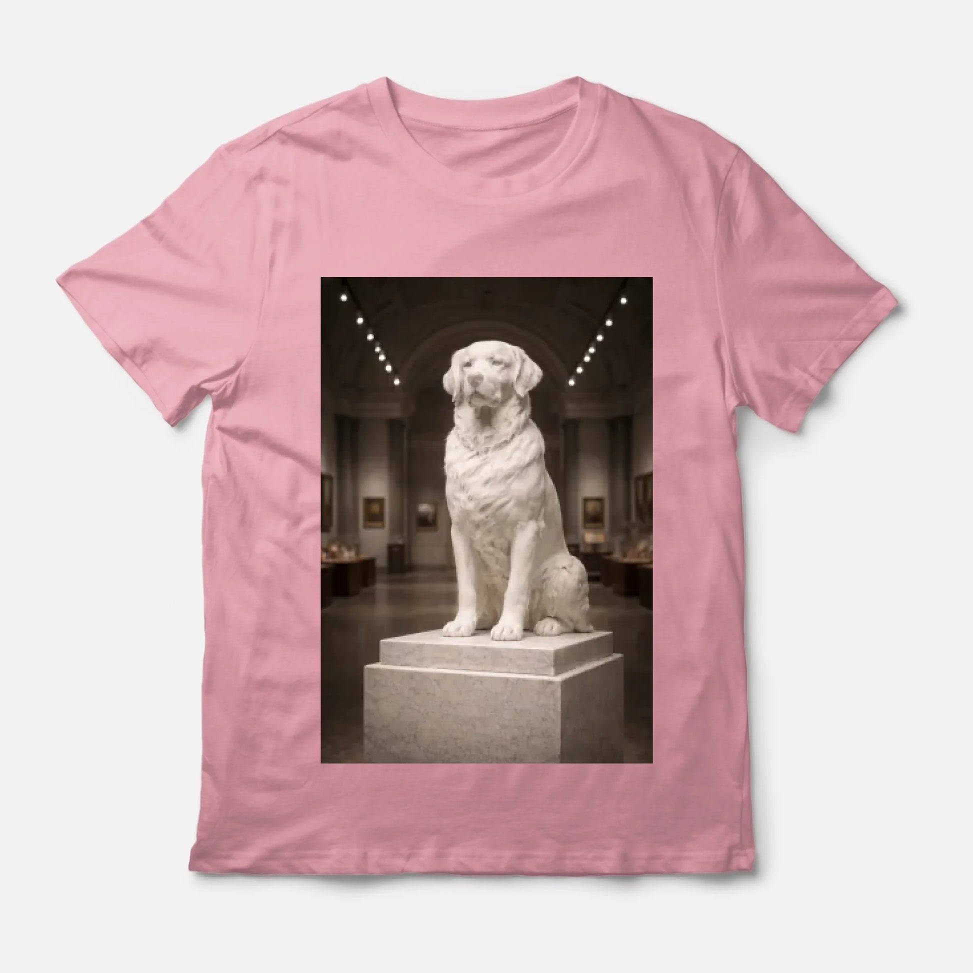 artboard-1-6972bf18fba4b1174087a183-@2x