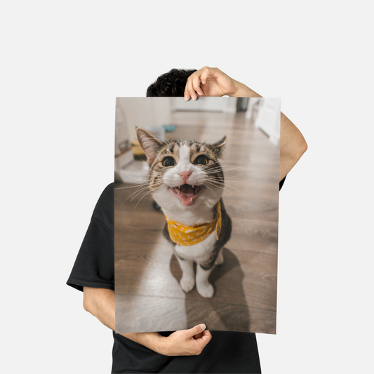 Premium Matte Paper Poster