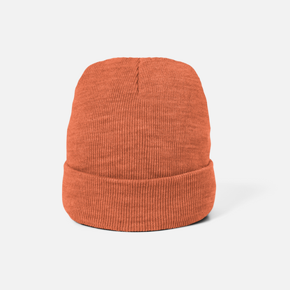 Cuffed Beanie